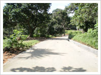 Construction of Jeepable RCC Road from NH-62 to Gasuapara Tambu Ading