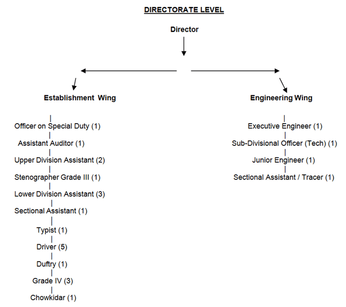 Directorate Level
