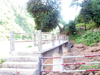 BADO Ranikor
