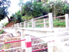BADO Ranikor