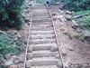 BADO Ranikor