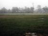 BADO Ranikor