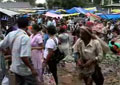 Border Glimpses